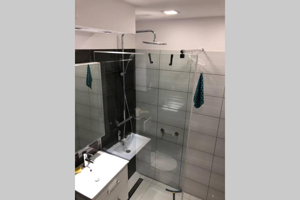 Apartament Sikornik Γκλίβιτσε Εξωτερικό φωτογραφία